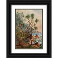 thumbnail image 1 of Haeckel, Ernst 17x24 Black Ornate Wood Framed with Double Matting Museum Art Print Titled - Pandanus bei Matura Schraubenpalmen an der Sudkuste von Ceylon, 1 of 4