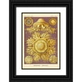 thumbnail image 1 of Haeckel, Ernst 17x24 Black Ornate Wood Framed with Double Matting Museum Art Print Titled - Haeckel Nature Illustrations: Jelly Fish, 1 of 4