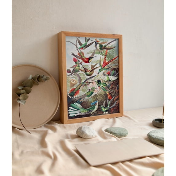 Haeckle Bird Print, Colorful Botanical Prints, Kolibris Nature Wall Art ...