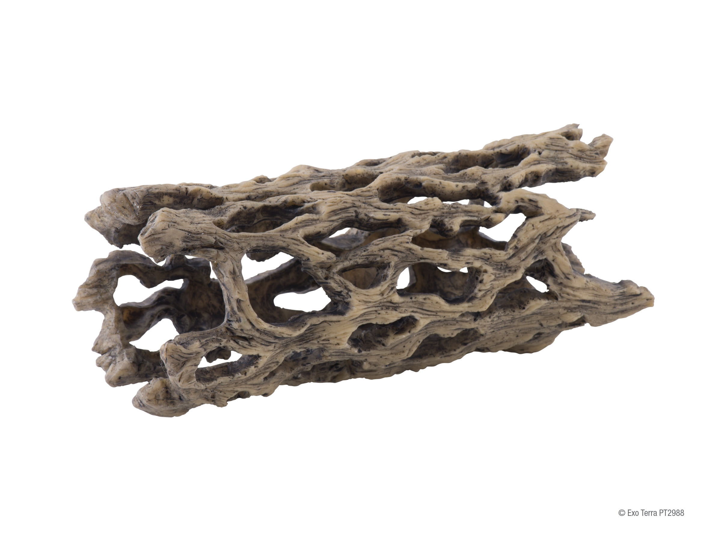 Hagen Exo Terra Cholla Cactus Skeleton (Medium)