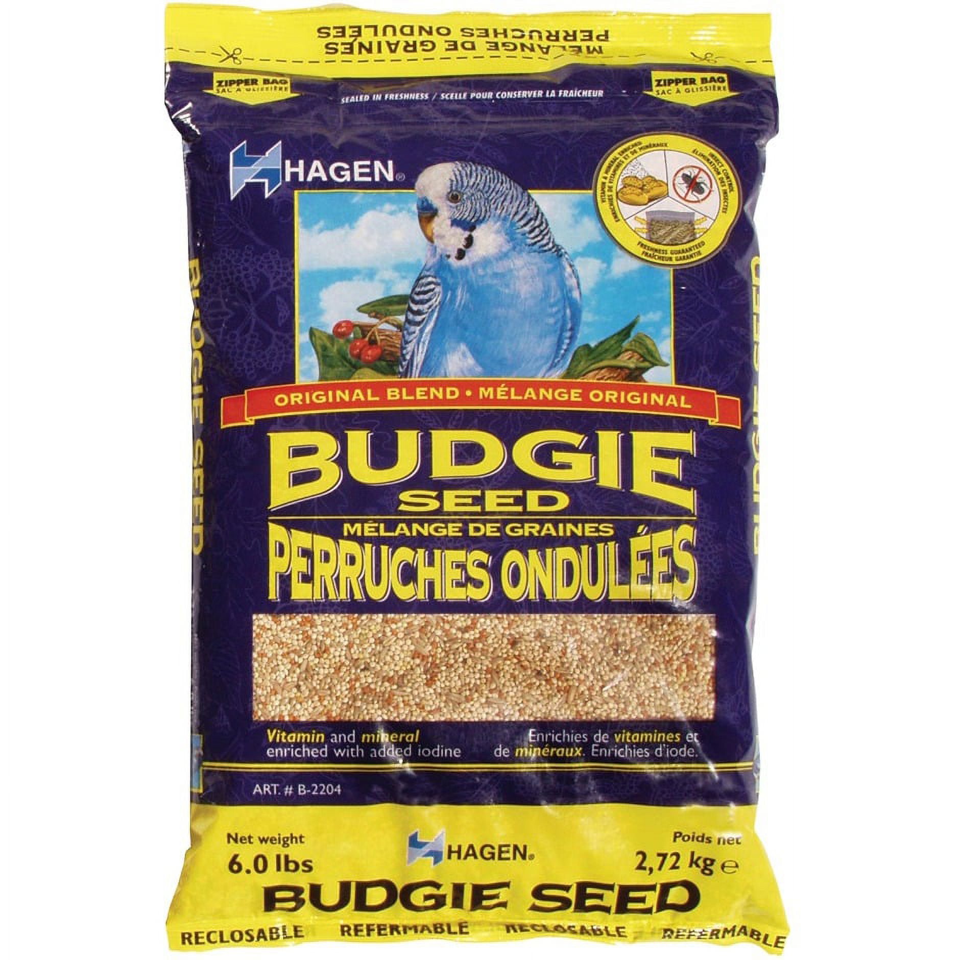 Budgie bird diet online