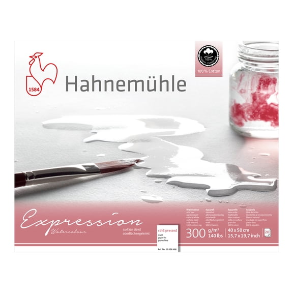 Hahnemuhle Expression W/C Block 15.75x19.7