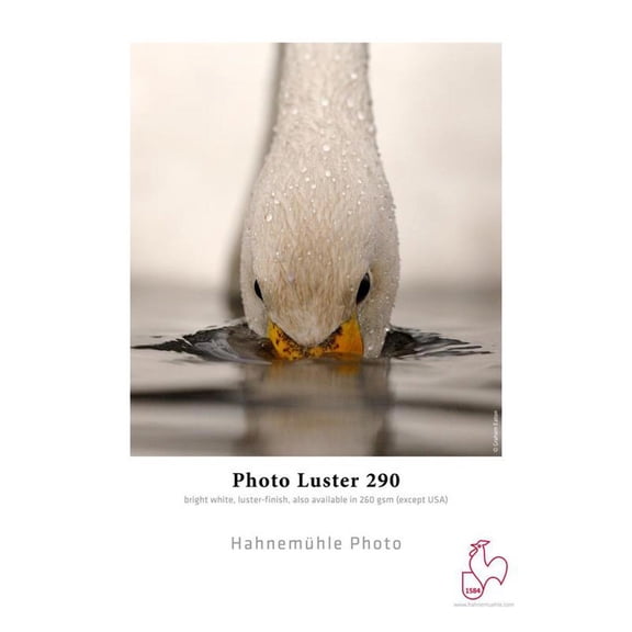Hahnemuhle Photo Luster 290 Inkjet Paper, 13x19", 25 Sheets