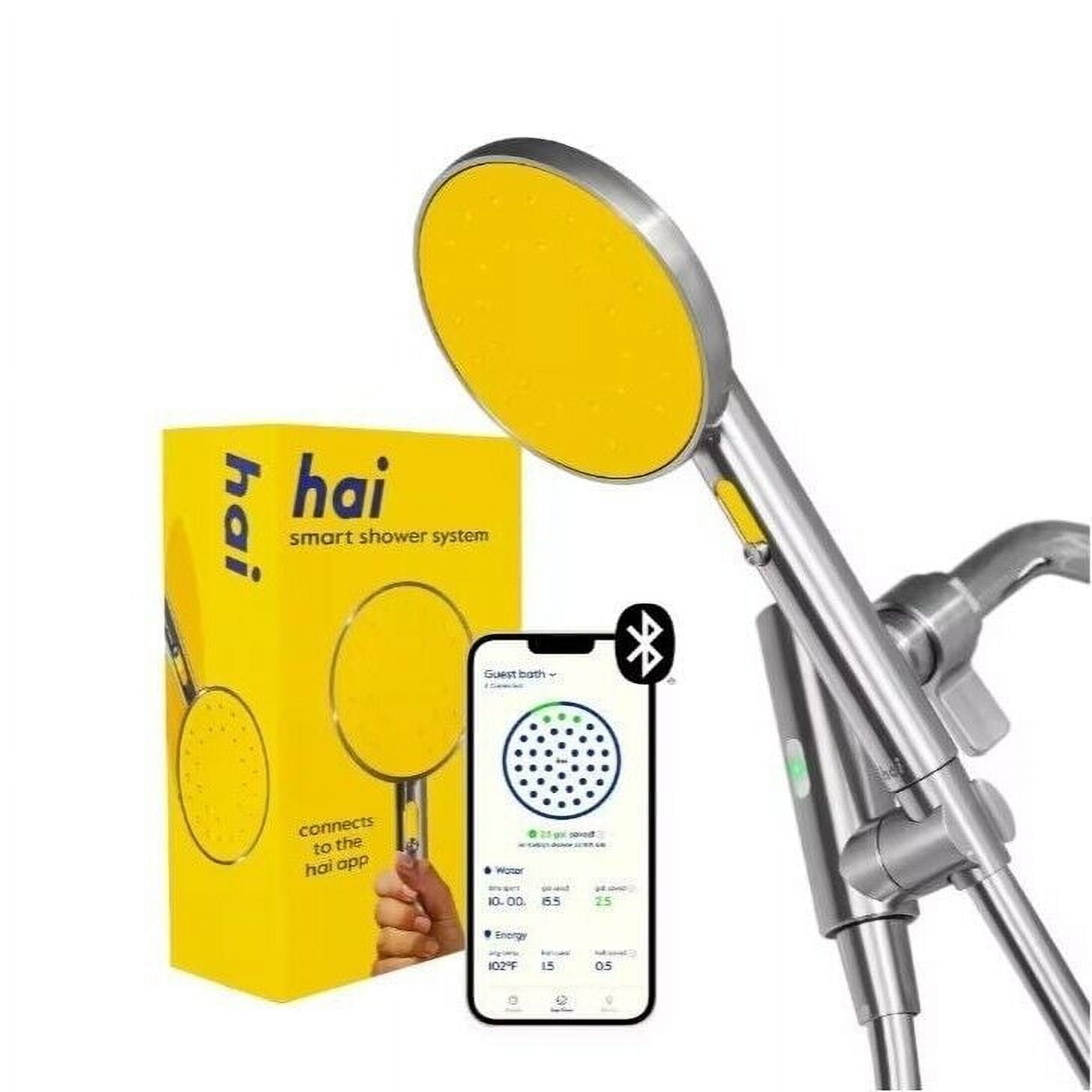 Citron Stainless Steel Bluetooth Handheld Showerhead with Mist