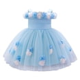 thumbnail image 1 of HaiMao Baby Flower Girl Dress Infant Toddlers Kids Cold Shoudler Princess Tutu Tulle Gown for Birthday Party Wedding Pageant Blue 6 Months, 1 of 9