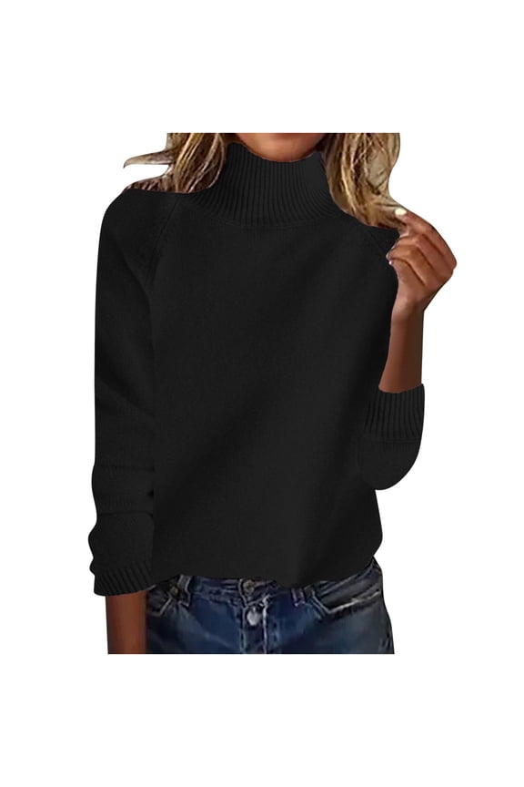 HaiMao Women's Turtleneck Sweater Basic Petite Tunic Tops Pullover Solid Casual Lightweight Long Sleeve Knitwear Black 4(S)