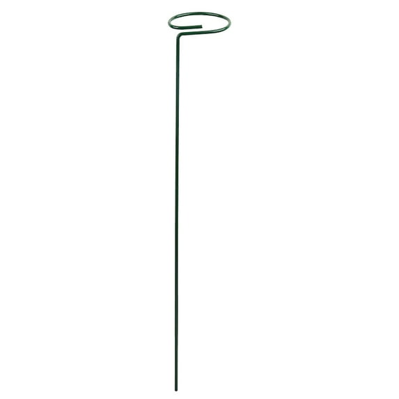 Haidf 1Pc Plant Stakes, Metal Single Stem Flower Support Stakes, Garden Plant Support Ring for Orchid Lily Rose Peony Tomato Gladiolus, Plant Stakes and Supports for Indoor Outdoor, 9.8", Green
