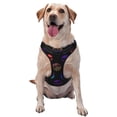 thumbnail image 1 of Haiem 80s Style Palm Trees Pattern No-Pull Dog Harness Reflective Front Clip Vest with Handle,Step-in Air Dog Harness,Adjustable 2 Metal Rings 4 Buckles-X-Large, 1 of 6