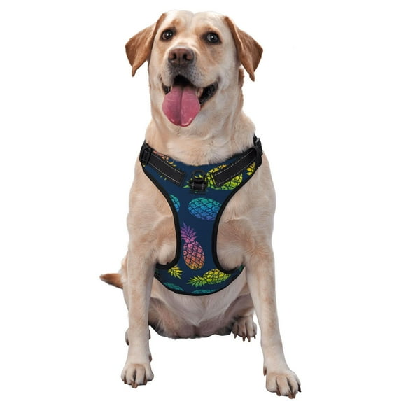 Haiem Abstract Bright Pineapple Fruit Retro Pattern No-Pull Dog Harness Reflective Front Clip Vest with Handle,Step-in Air Dog Harness,Adjustable 2 Metal Rings 4 Buckles-Large