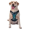 thumbnail image 1 of Haiem Airplane Shark Pattern No-Pull Dog Harness Reflective Front Clip Vest with Handle,Step-in Air Dog Harness,Adjustable 2 Metal Rings 4 Buckles-Medium, 1 of 6