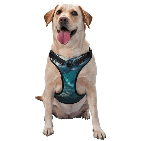 Haiem Airplane Shark Pattern No-Pull Dog Harness Reflective Front Clip Vest with Handle,Step-in Air Dog Harness,Adjustable 2 Metal Rings 4 Buckles-Medium