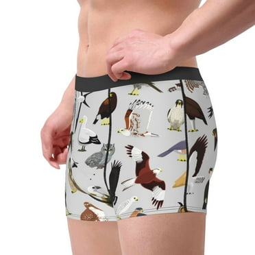 Haiem Animal Bird Men's Boxer Briefs, Every Day Comfort Stretch Cotton Moisture-Wicking Underwear-Medium
