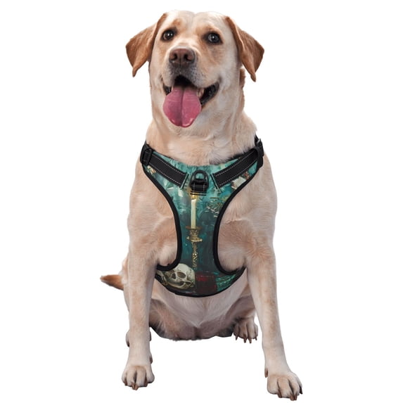Haiem Baroque Floral Still Life Pattern No-Pull Dog Harness Reflective Front Clip Vest with Handle,Step-in Air Dog Harness,Adjustable 2 Metal Rings 4 Buckles-Medium