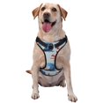 thumbnail image 1 of Haiem Beacon In The Huge Waves Of The Surf Pattern No-Pull Dog Harness Reflective Front Clip Vest with Handle,Step-in Air Dog Harness,Adjustable 2 Metal Rings 4 Buckles-Large, 1 of 6