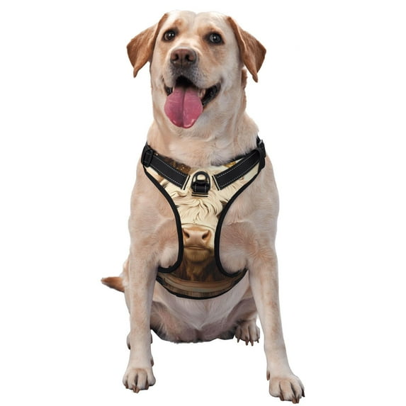 Haiem Butterfly Cow Barrel Pattern No-Pull Dog Harness Reflective Front Clip Vest with Handle,Step-in Air Dog Harness,Adjustable 2 Metal Rings 4 Buckles-Small