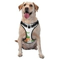 thumbnail image 1 of Haiem Cactus Gnome Pattern No-Pull Dog Harness Reflective Front Clip Vest with Handle,Step-in Air Dog Harness,Adjustable 2 Metal Rings 4 Buckles-X-Large, 1 of 6