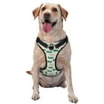 thumbnail image 1 of Haiem Cartoon Crocodile Pattern No-Pull Dog Harness Reflective Front Clip Vest with Handle,Step-in Air Dog Harness,Adjustable 2 Metal Rings 4 Buckles-Large, 1 of 6