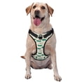 thumbnail image 1 of Haiem Cartoon Crocodile Pattern No-Pull Dog Harness Reflective Front Clip Vest with Handle,Step-in Air Dog Harness,Adjustable 2 Metal Rings 4 Buckles-X-Large, 1 of 6