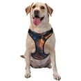 thumbnail image 1 of Haiem Cool Dolphin Pattern No-Pull Dog Harness Reflective Front Clip Vest with Handle,Step-in Air Dog Harness,Adjustable 2 Metal Rings 4 Buckles-Large, 1 of 6