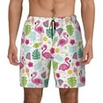 thumbnail image 1 of Haiem Cute Flamingo Mens Swim Trunks with Compression Liner 2 in 1 Swimming Shorts Stretch Swimwear Quick Dry,Board Shorts-Medium, 1 of 9