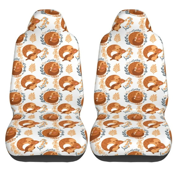 Haiem Cute Squirrel Printed Car Seat Covers Set of 2, Universal Fit Car Seat Covers,Protective Seat Covers,Comfortable Car Seat Covers, Easy Installation Seat Covers, Vehicle Seat Covers