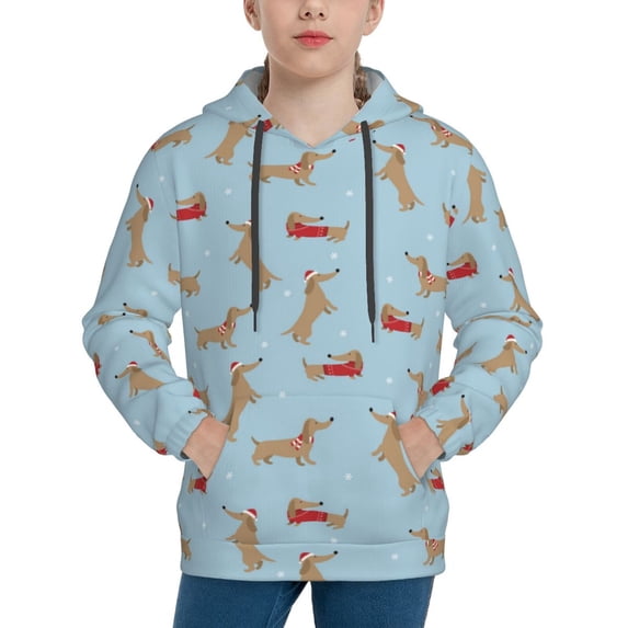Haiem Dachshund Dog Pattern Boys Hoodie, Youth Pullover Hooded Sweatshirt, Kangaroo Pocket Hoodie for Kids Girls -X-Large
