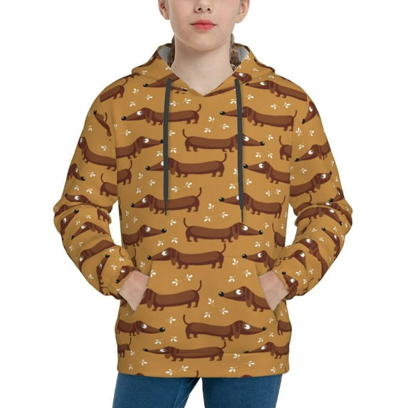 Haiem Dachshund Dog Puppy Pattern Boys Hoodie, Youth Pullover Hooded Sweatshirt, Kangaroo Pocket Hoodie for Kids Girls -Small