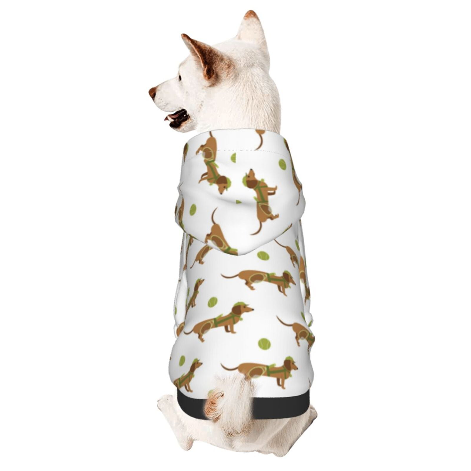 Dachshund Winter Sport Hoodie main image 1