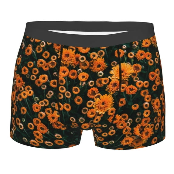 Haiem Daisies Men's Boxer Briefs, Every Day Comfort Stretch Cotton Moisture-Wicking Underwear-Small