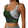 thumbnail image 1 of Haiem Dandelion Pattern Womens Sports Bra - U Neck Padded Low Impact Yoga Bra Workout Crop Top Gym Moisture-Wicking Workout Vest -Large, 1 of 1