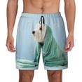thumbnail image 1 of Haiem Dog Wrapped In Towel Men'S Quick-Dry Swim Trunks: Comfortable Beach Shorts With Mesh Lining And Pockets - Ideal For Swimming And Sunbathing Large, 1 of 9