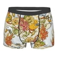 thumbnail image 1 of Haiem Ducks and Flowers Men's Boxer Briefs, Every Day Comfort Stretch Cotton Moisture-Wicking Underwear-Small, 1 of 9