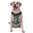 thumbnail image 1 of Haiem Green And Gold Marble Pattern No-Pull Dog Harness Reflective Front Clip Vest with Handle,Step-in Air Dog Harness,Adjustable 2 Metal Rings 4 Buckles-X-Large, 1 of 6