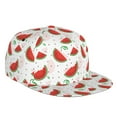 thumbnail image 1 of Haiem Hand Drawn Watermelon Classic Snapback Cap Flat Bill Hat Baseball Cap Adjustable Size Cotton Dad Hat, 1 of 9