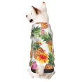 thumbnail image 1 of Haiem Hawaiian Pineappl for Winter Dog Hoodie Sweatshirts with Pockets Warm Dog Clothes for Small Dogs Chihuahua-Small, 1 of 7