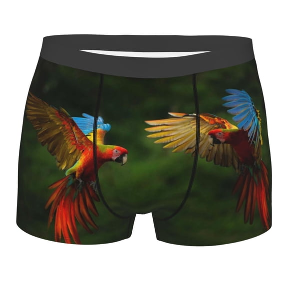 Haiem Hybrid Parrot in the Forest Men's Boxer Briefs, Every Day Comfort Stretch Cotton Moisture-Wicking Underwear-Large