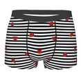 thumbnail image 1 of Haiem Ladybugs on Black and White Striped Men's Boxer Briefs, Every Day Comfort Stretch Cotton Moisture-Wicking Underwear-Small, 1 of 9