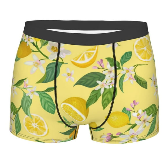 Haiem Lemon Men's Boxer Briefs, Every Day Comfort Stretch Cotton Moisture-Wicking Underwear-Large