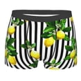 thumbnail image 1 of Haiem Lemons on Striped Men's Boxer Briefs, Every Day Comfort Stretch Cotton Moisture-Wicking Underwear-XX-Large, 1 of 9