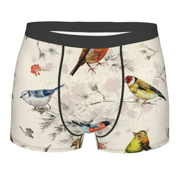 Haiem Little Birds Men's Boxer Briefs, Every Day Comfort Stretch Cotton Moisture-Wicking Underwear-XX-Large