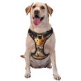 thumbnail image 1 of Haiem Modern Floral Guinea Pig Pattern No-Pull Dog Harness Reflective Front Clip Vest with Handle,Step-in Air Dog Harness,Adjustable 2 Metal Rings 4 Buckles-Medium, 1 of 6