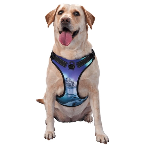Haiem Night At Lake Aurora 1 Pattern No-Pull Dog Harness Reflective Front Clip Vest with Handle,Step-in Air Dog Harness,Adjustable 2 Metal Rings 4 Buckles-X-Large