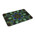 thumbnail image 1 of Haiem Peacock Feathers Front Door Mat Indoor Outdoor Entrance, Waterproof All-Season, All-Weather Doormat, Durable Flannel Fabric, Fade Resistant, Low Profile, 16x24in, 1 of 8