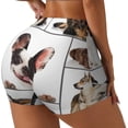 thumbnail image 1 of Haiem Pedigree dogs collage No Front Seam Biker Shorts for Women Yoga Workout Gym Bike Shorts with Tummy Control Moisture-Wicking-X-Large, 1 of 8
