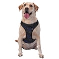 thumbnail image 1 of Haiem Physical Formulas Pattern No-Pull Dog Harness Reflective Front Clip Vest with Handle,Step-in Air Dog Harness,Adjustable 2 Metal Rings 4 Buckles-Small, 1 of 6