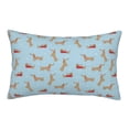 thumbnail image 1 of Haiem Pillowcase for Hair and Skin Queen - Dachshund Dog Printed Soft Pillowcase with Envelope Closure-14"x20", 1 of 8