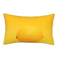 thumbnail image 1 of Haiem Pillowcase for Hair and Skin Queen - Yellow Lemon Printed Soft Pillowcase with Envelope Closure-16"x24", 1 of 9