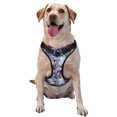 thumbnail image 1 of Haiem Purple Marble Texture Pattern No-Pull Dog Harness Reflective Front Clip Vest with Handle,Step-in Air Dog Harness,Adjustable 2 Metal Rings 4 Buckles-Medium, 1 of 6