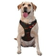 thumbnail image 1 of Haiem Red Dark Skull Abstract Pattern No-Pull Dog Harness Reflective Front Clip Vest with Handle,Step-in Air Dog Harness,Adjustable 2 Metal Rings 4 Buckles-Large, 1 of 6