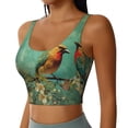 thumbnail image 1 of Haiem Retro Birds Pattern Womens Sports Bra - U Neck Padded Low Impact Yoga Bra Workout Crop Top Gym Moisture-Wicking Workout Vest -Small, 1 of 9